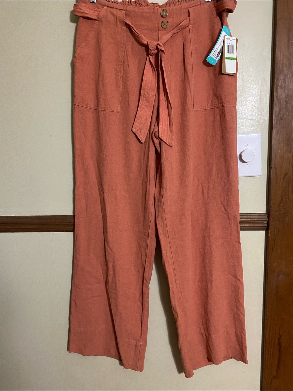 High-Rise Wide Leg Tie-Waist Pants in Terracotta